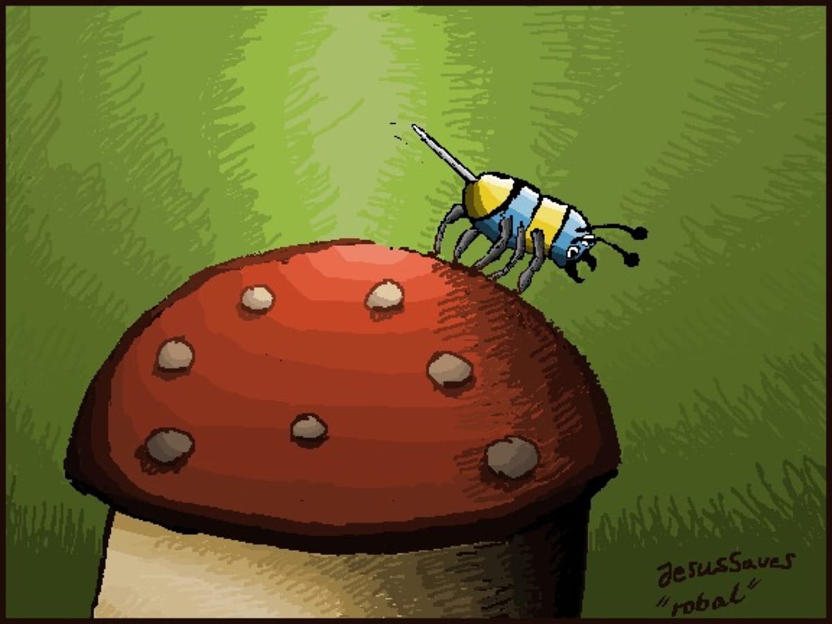 robal-bmp-2006-digital
